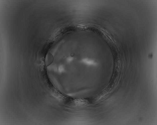 X0000089920707200707131411
