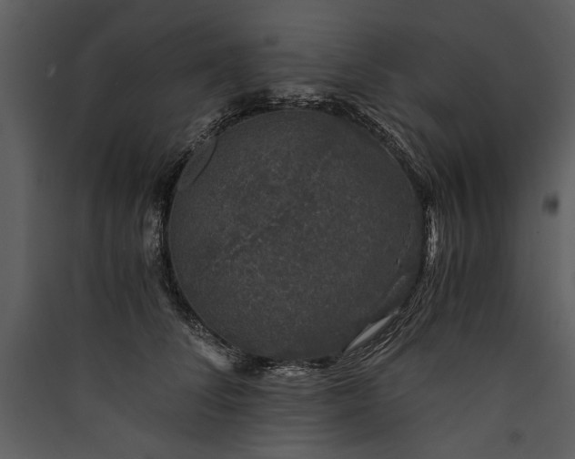 X0000089920708200707131411