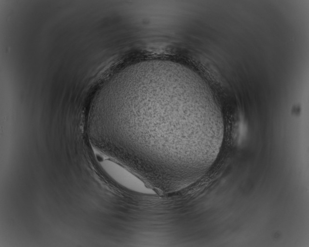 X0000089920710200707131411