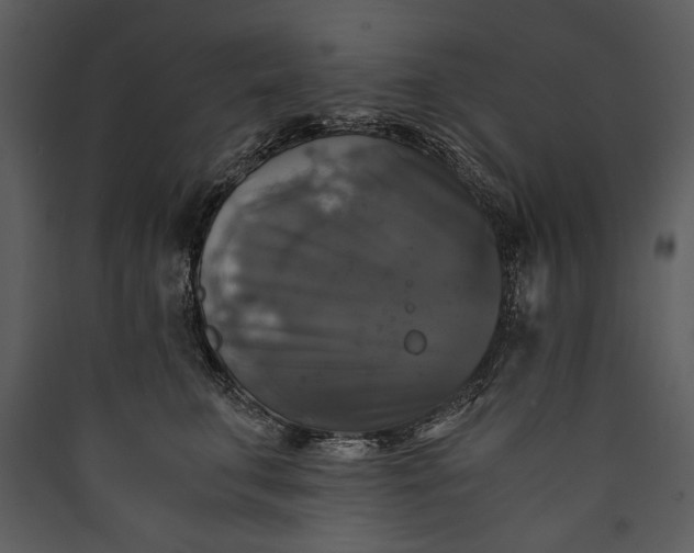 X0000089920711200707131411