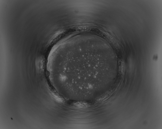X0000089920712200707131411
