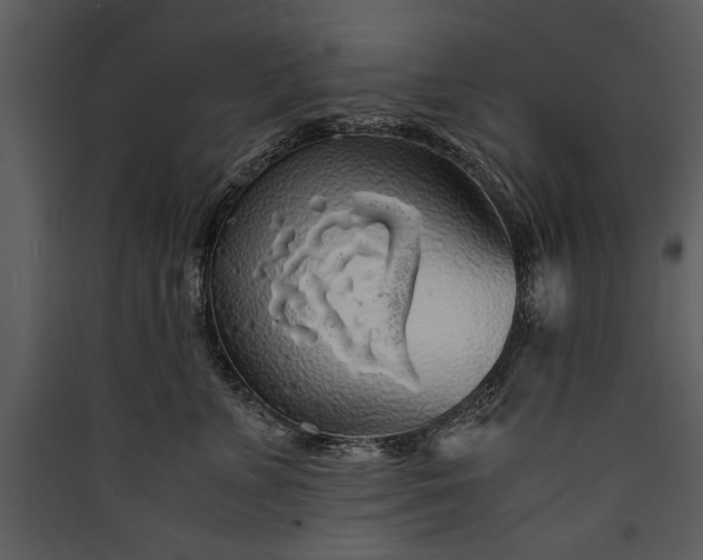 X0000089920715200707131411