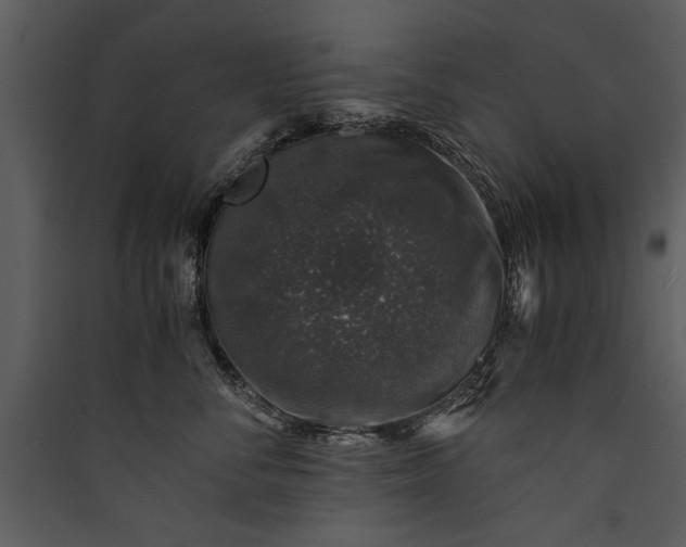 X0000089920716200707131411