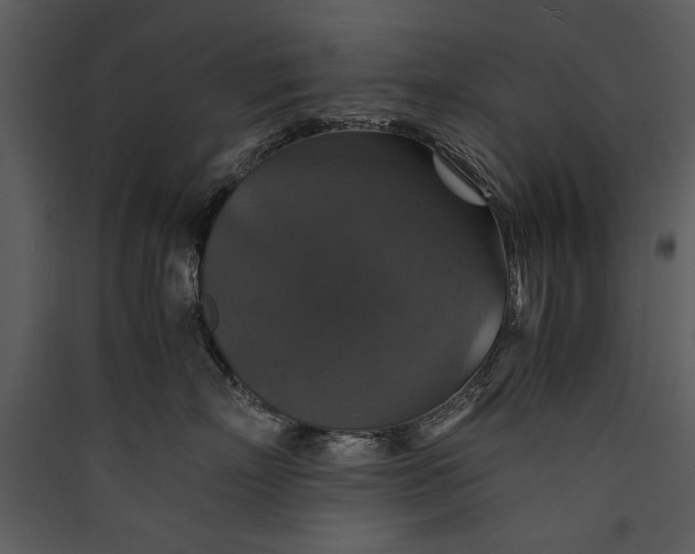 X0000089920718200707131411