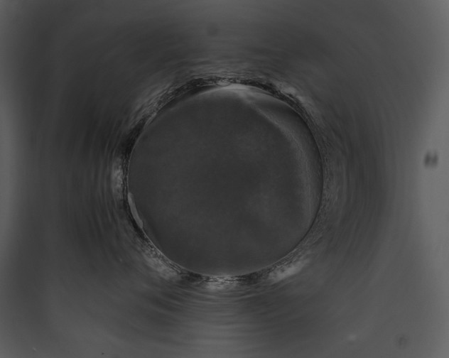X0000089920720200707131410