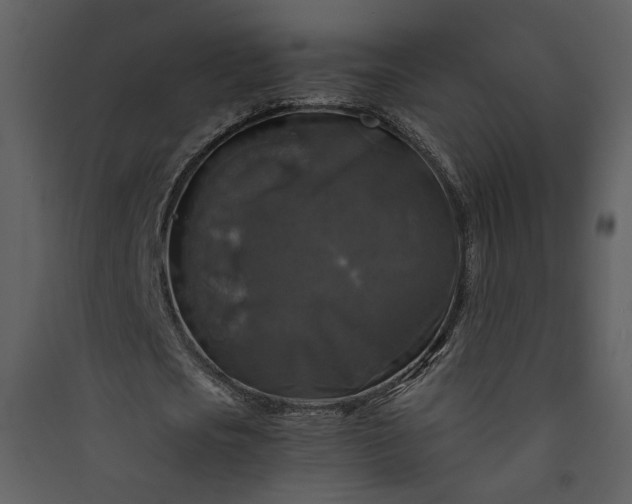 X0000089920721200707131410
