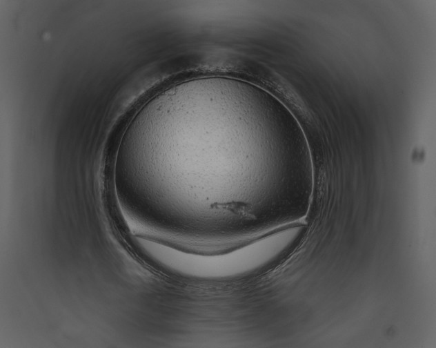 X0000089920722200707131410