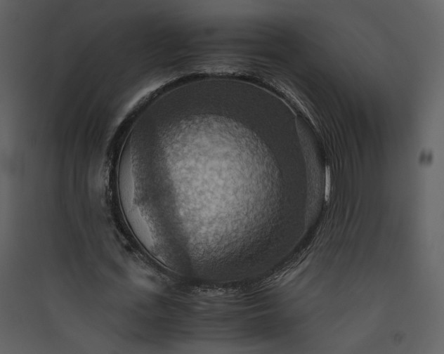 X0000089920723200707131410