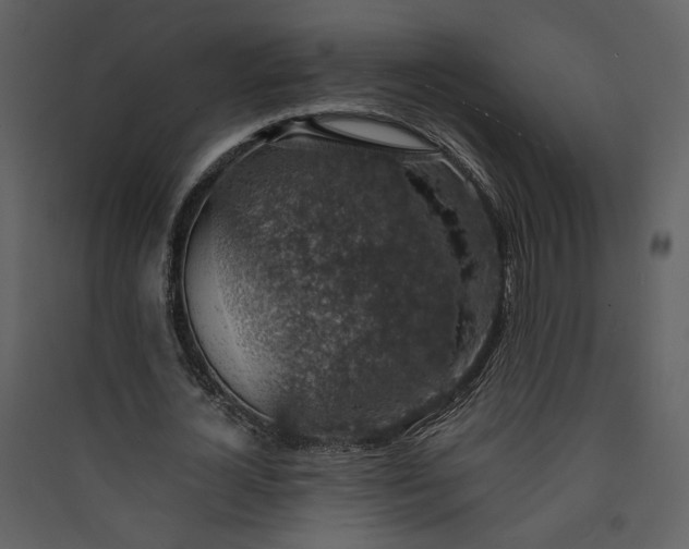 X0000089920724200707131410