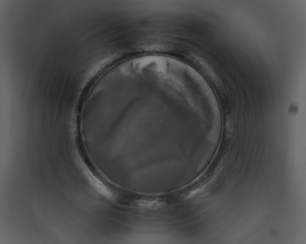 X0000089920725200707131410