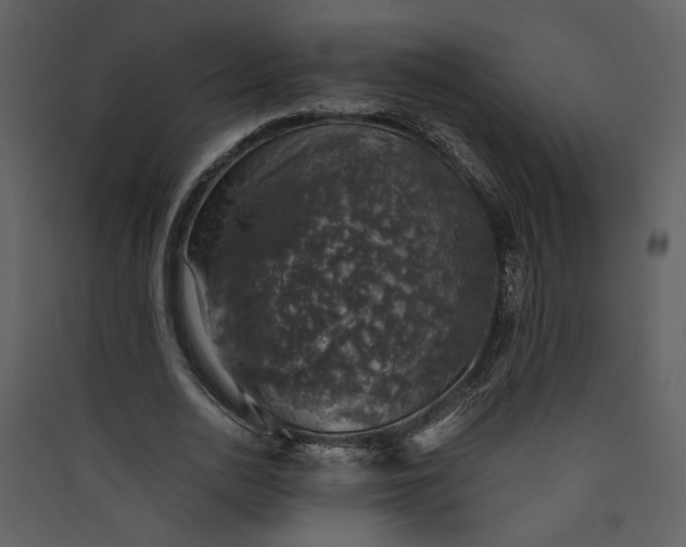 X0000089920726200707131410