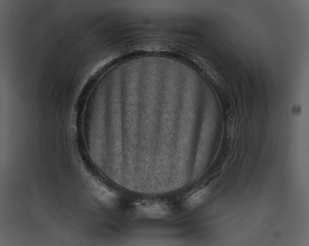 X0000089920727200707131410