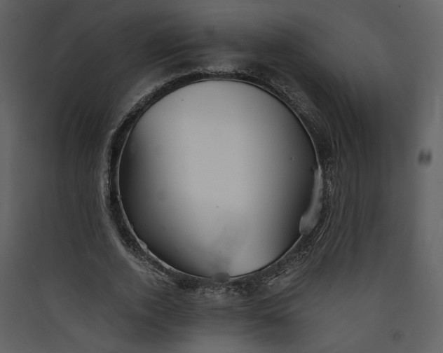 X0000089920728200707131410