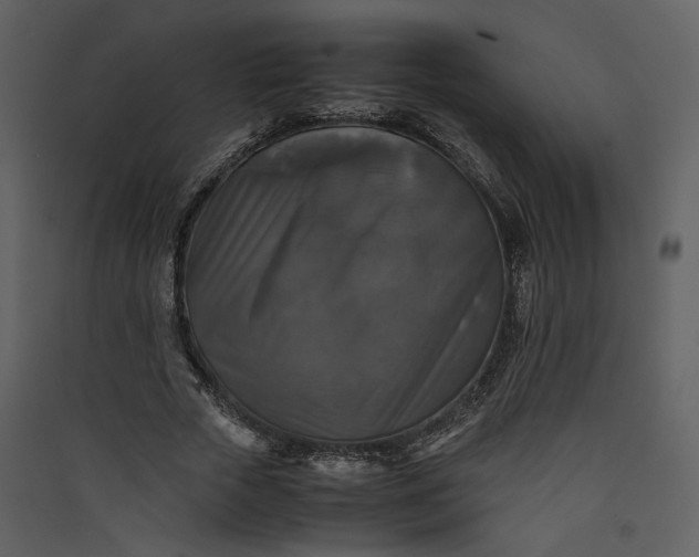 X0000089920729200707131410