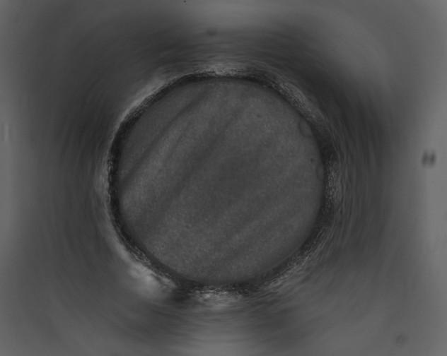 X0000089920730200707131410