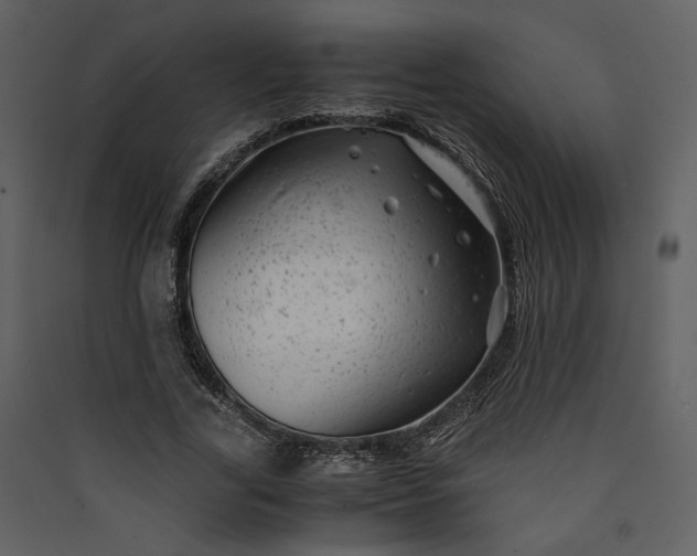 X0000089920731200707131410