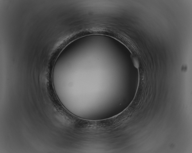 X0000089920732200707131410