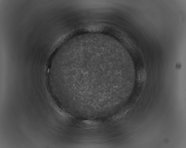X0000089920733200707131410