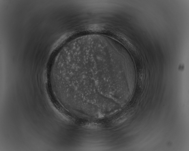 X0000089920734200707131410