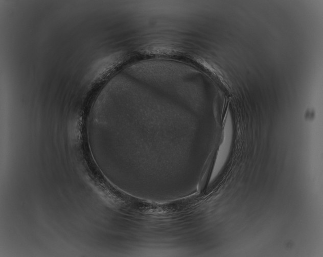 X0000089920735200707131410
