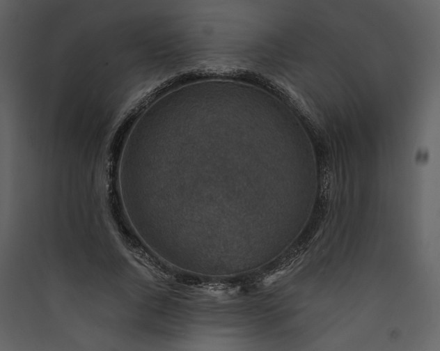X0000089920736200707131410