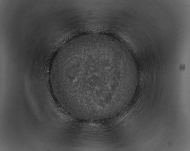 X0000089920737200707131410