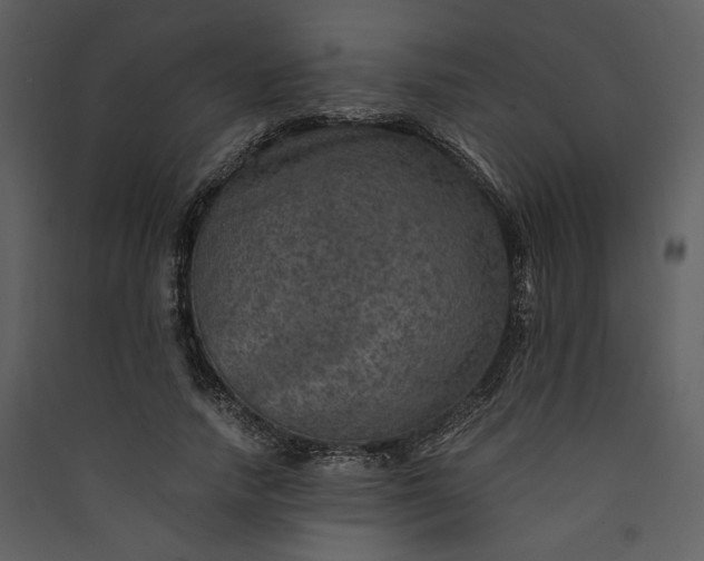 X0000089920738200707131410