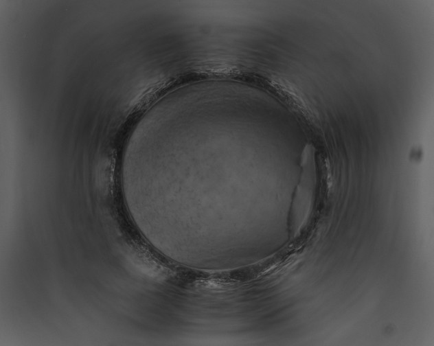 X0000089920739200707131410