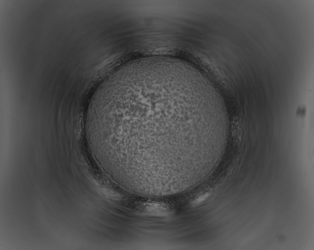 X0000089920741200707131410