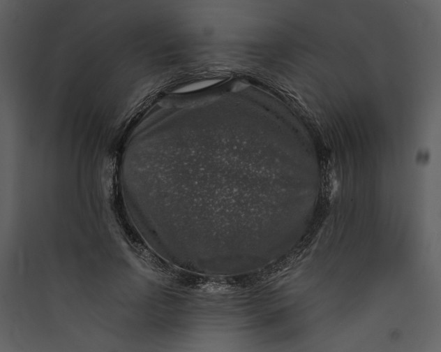 X0000089920742200707131410