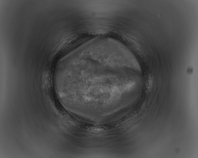X0000089920743200707131410