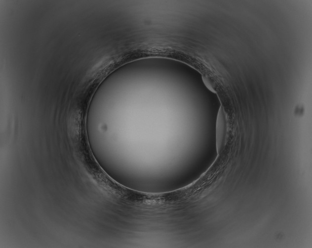 X0000089920744200707131410