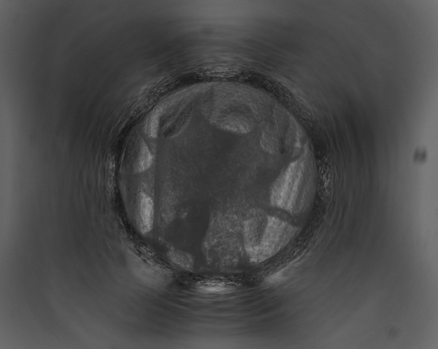 X0000089920745200707131410