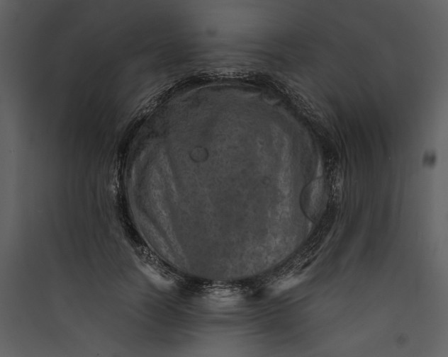 X0000089920746200707131410