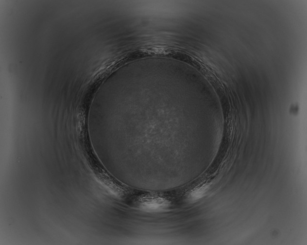 X0000089920747200707131410