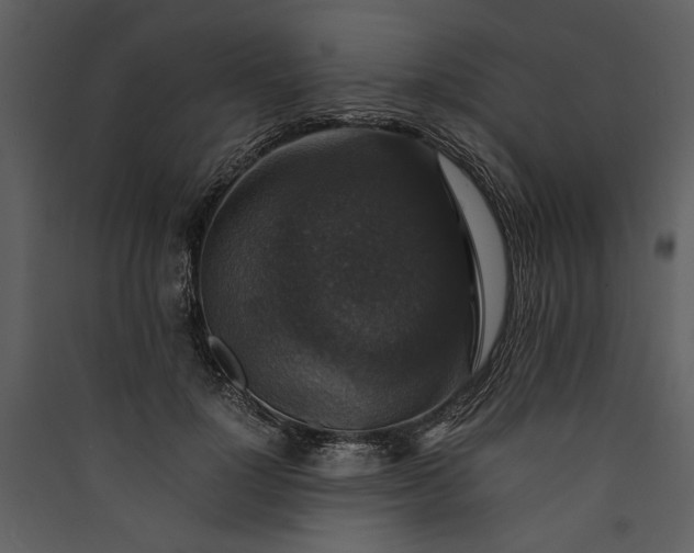 X0000089920748200707131410
