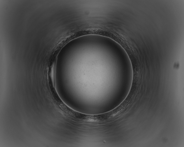 X0000089920750200707131410