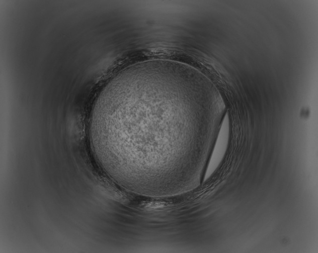 X0000089920751200707131410
