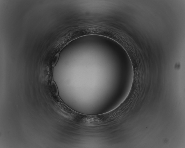 X0000089920752200707131410
