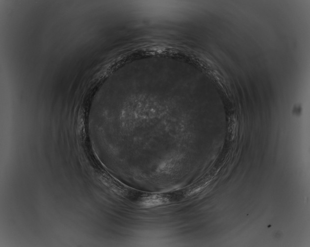 X0000089920754200707131410