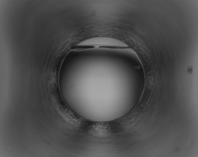X0000089920756200707131410