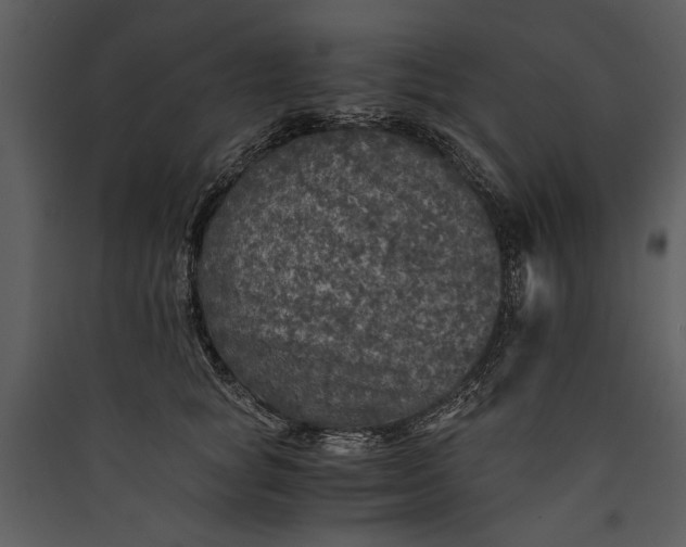X0000089920757200707131410