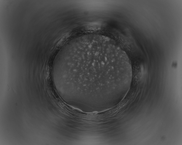 X0000089920758200707131410