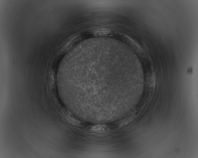 X0000089920761200707131410