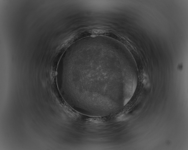 X0000089920763200707131410