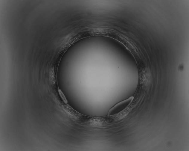 X0000089920764200707131410