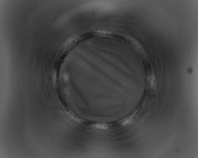 X0000089920765200707131410