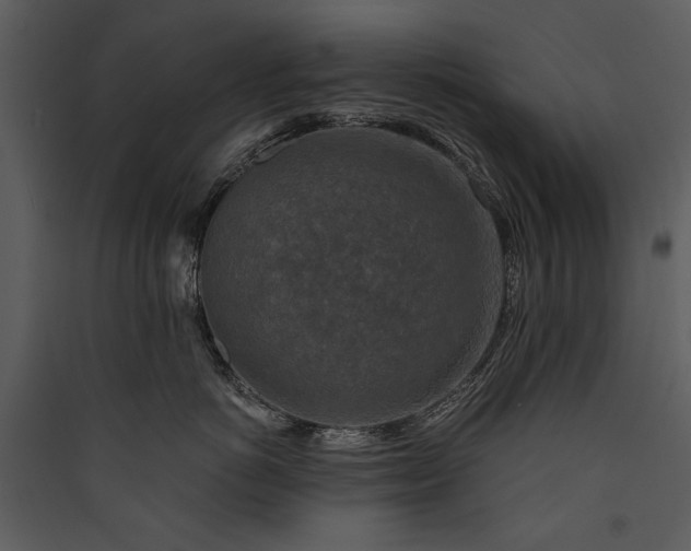 X0000089920766200707131410