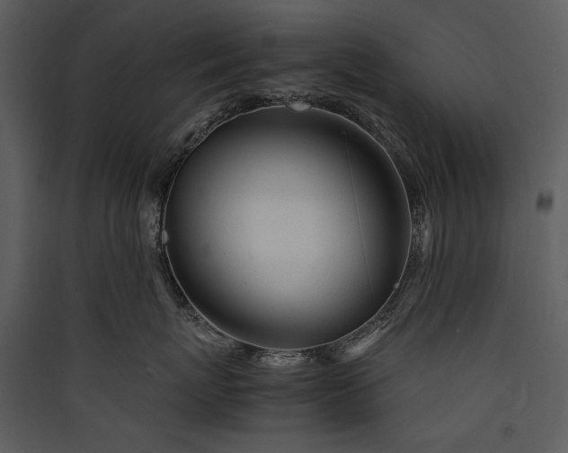 X0000089920767200707131410