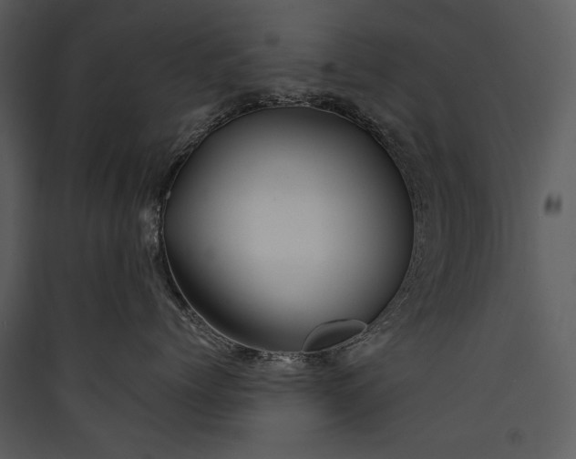 X0000089920768200707131410